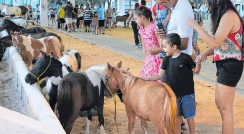 Expoece projeta movimentar R$ 30 milhões em negócios e reúne milhares de visitantes no Parque de Exposições em Fortaleza