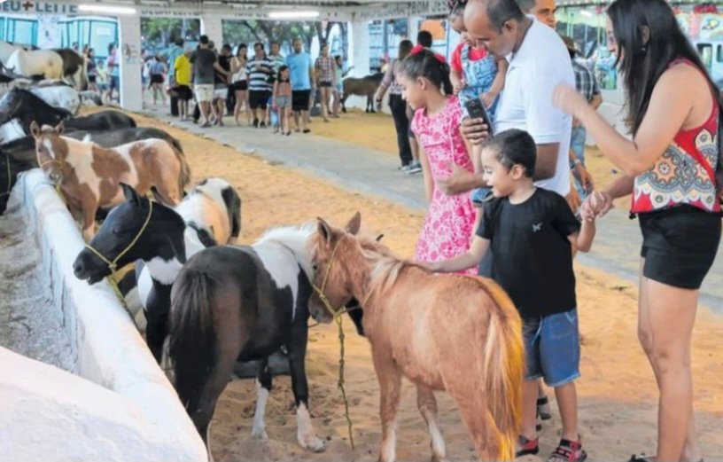 Expoece projeta movimentar R$ 30 milhões em negócios e reúne milhares de visitantes no Parque de Exposições em Fortaleza